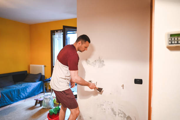 Best Post-Flood Mold Remediation in Rio Grande, OH